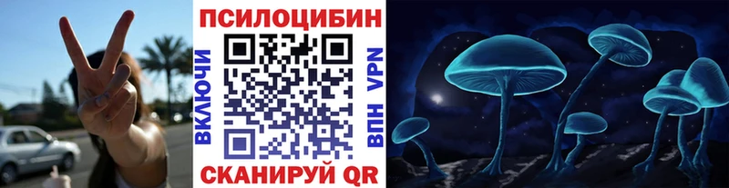 Псилоцибиновые грибы Cubensis где купить наркотик Кизилюрт