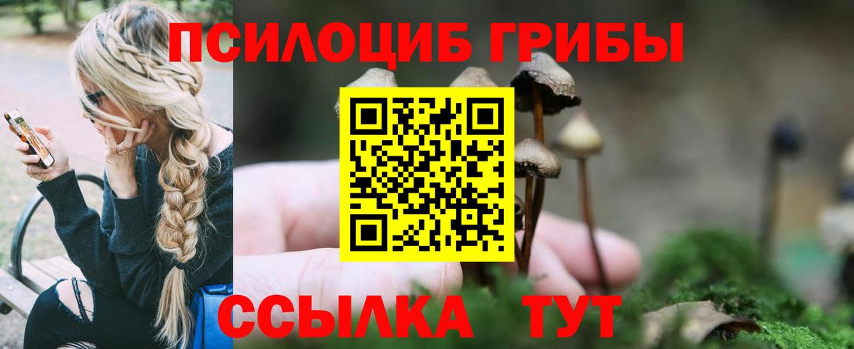 Псилоцибиновые грибы прущие грибы  Вход с VPN  Галлюциногенные грибы Psilocybine cubensis  Кизилюрт 
